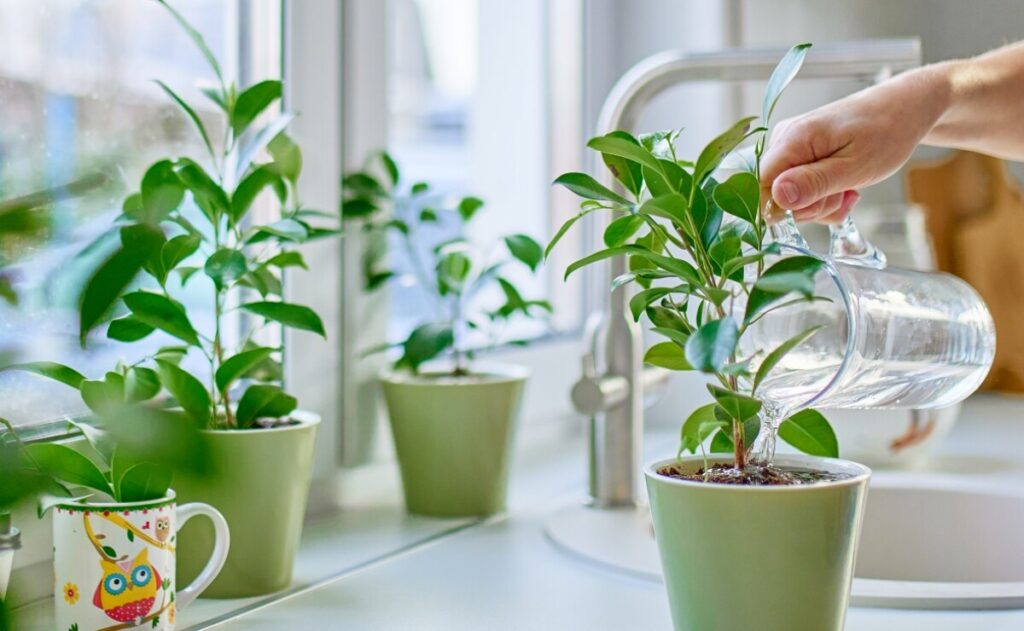 Es posible hacer un aire acondicionado casero con una maceta