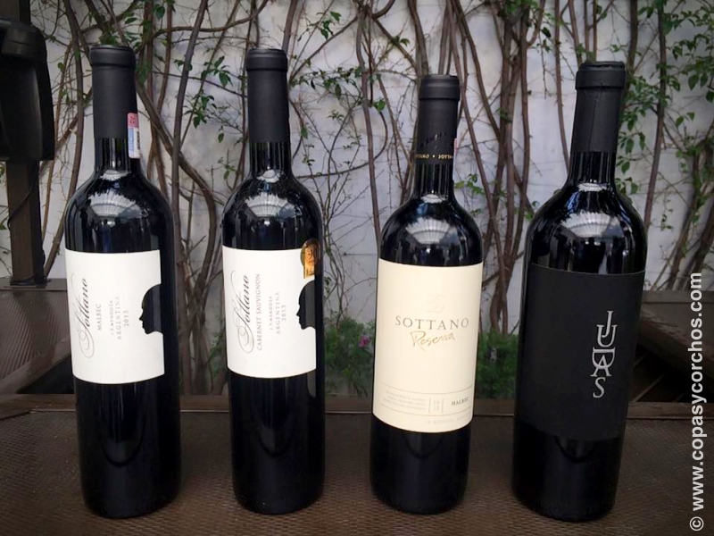 Dónde encontrar vinhos argentinos bons e baratos para disfrutar