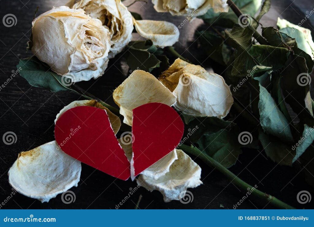 Qué dice la letra de “Hasta que me olvides” de Luis Miguel