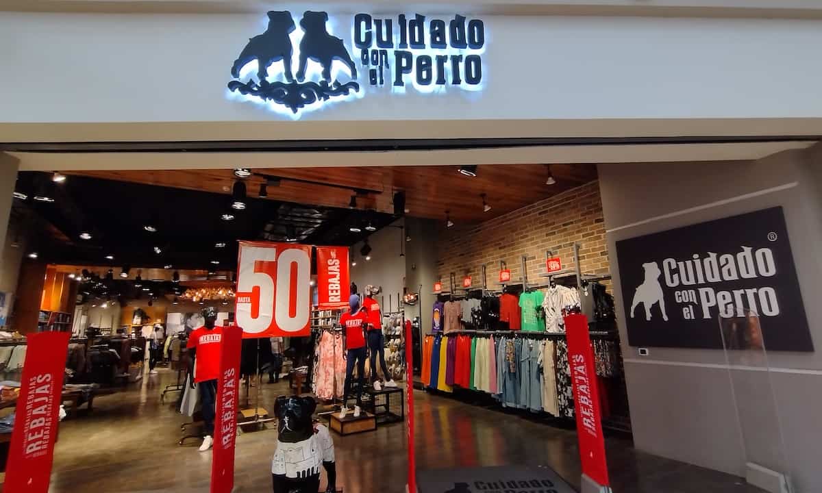 Quién es Liliana Cinetto y qué enseña en 