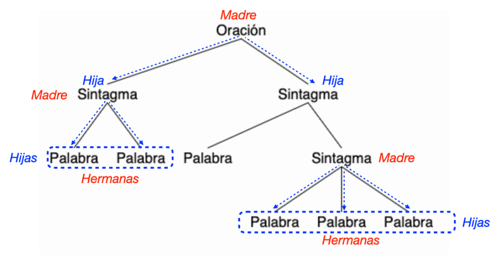 Cómo se analiza sintácticamente las siguientes oraciones correctamente
