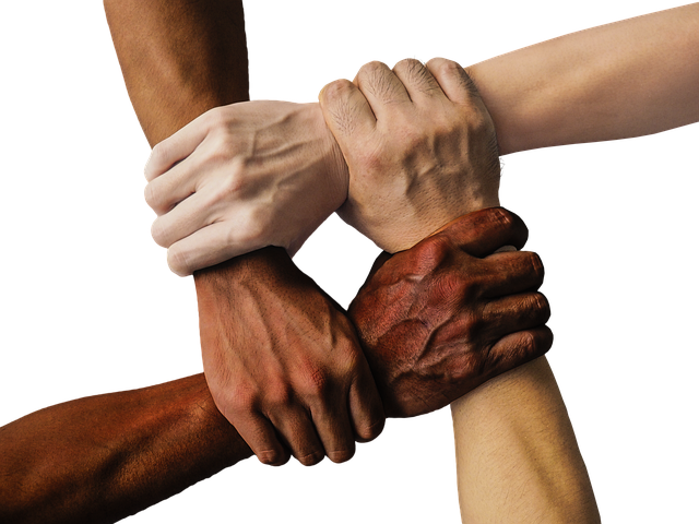 Cuáles son los beneficios de "mejor son dos que uno" 5 Cuáles son los beneficios de “mejor son dos que uno”