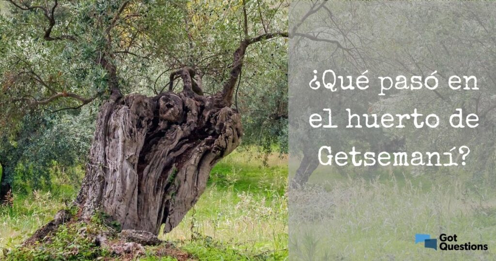 Por qué Dios no perdonó a Ananías y Safira en la Biblia