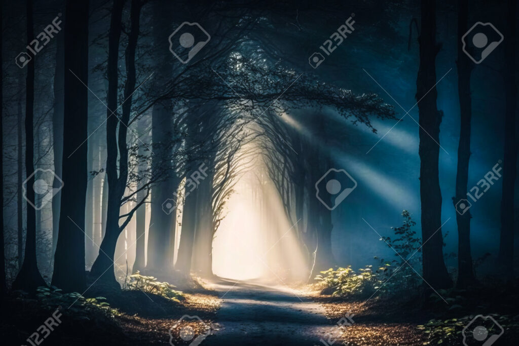 Por qué se dice que vosotros sois la luz del mundo en la Biblia