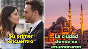 novelas turcas en una biblioteca acogedora