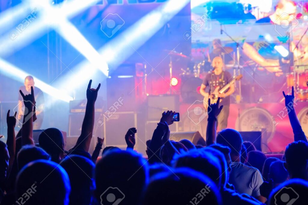 personas disfrutando de un concierto en vivo