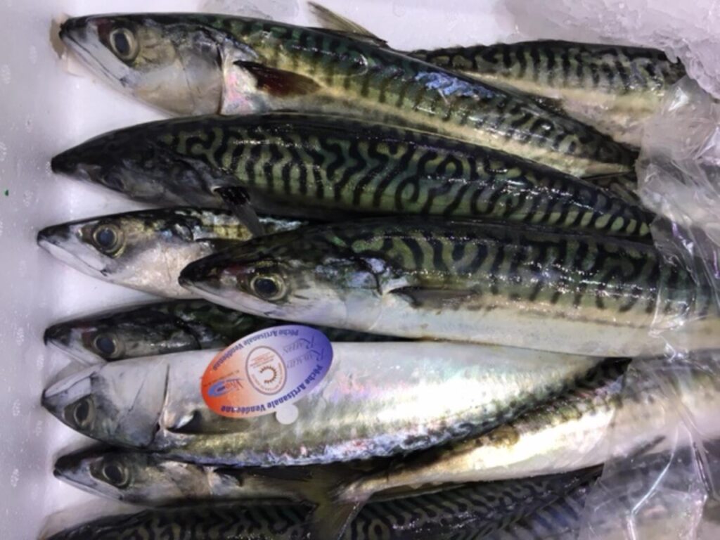 Dónde encontrar la mejor pescadería en Victoria, Mar del Plata 8 Dónde encontrar la mejor pescadería en Victoria, Mar del Plata