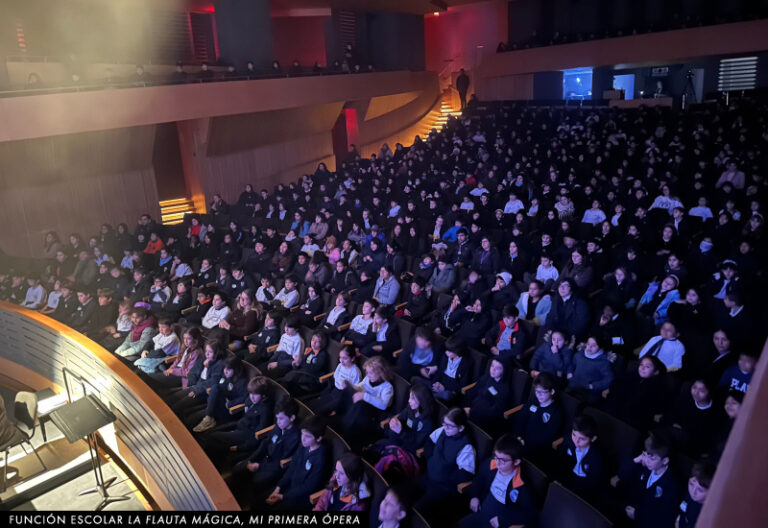 teatro con publico disfrutando una funcion